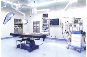 洁净菠萝视频网站的特点