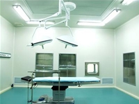 万级菠萝视频网站