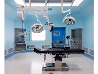 百级菠萝视频网站